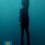 freedive6