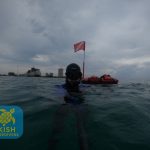 freedive7